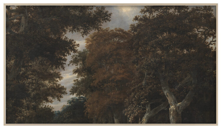 Blacklock - Scenic Fall: Frame TV Artwork Collection - Image 7