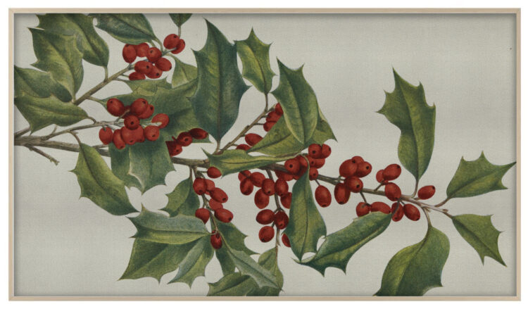 Ebenezer - Christmas: Frame TV Artwork Collection - Image 7