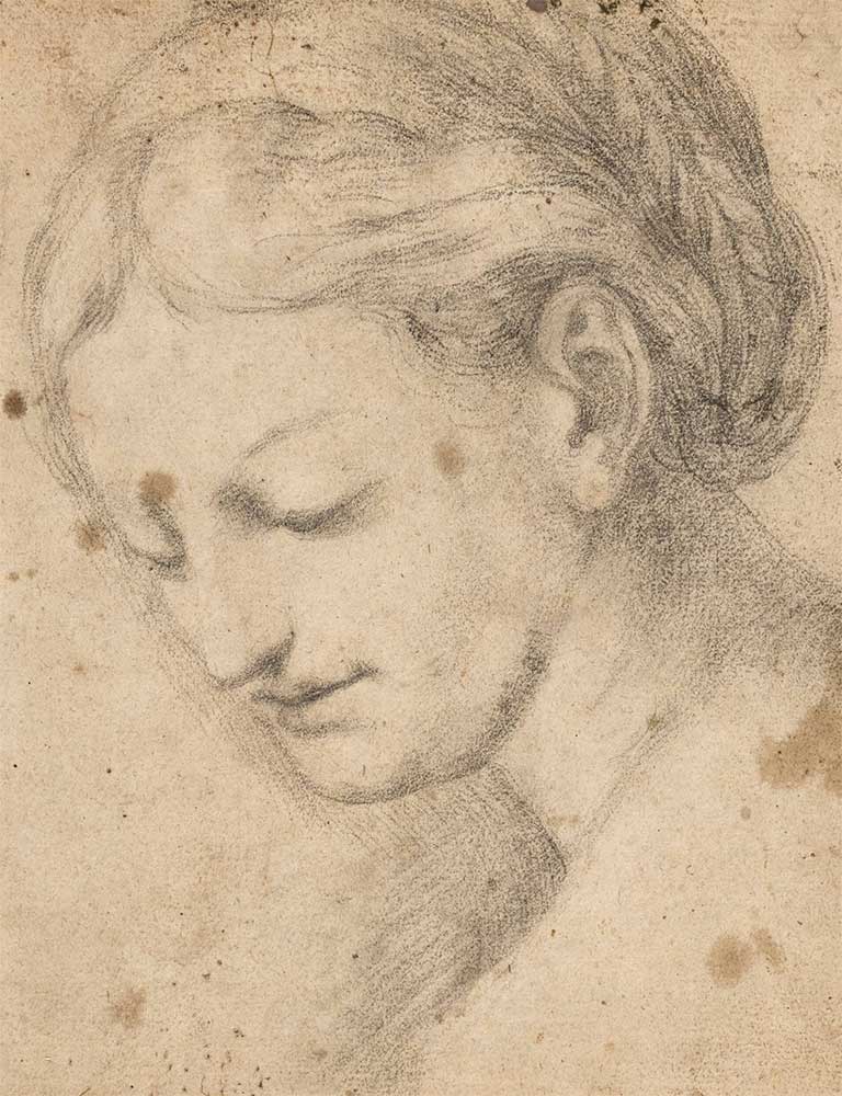 free vintage portrait sketch entitled Unknown “Woman face in three-quarter profile”