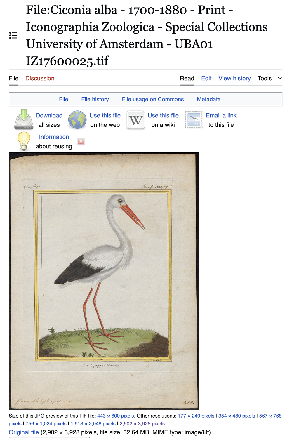 Side-by-side comparison of Serena & Lily’s framed art listing and the original public domain artwork from Wikimedia Commons.