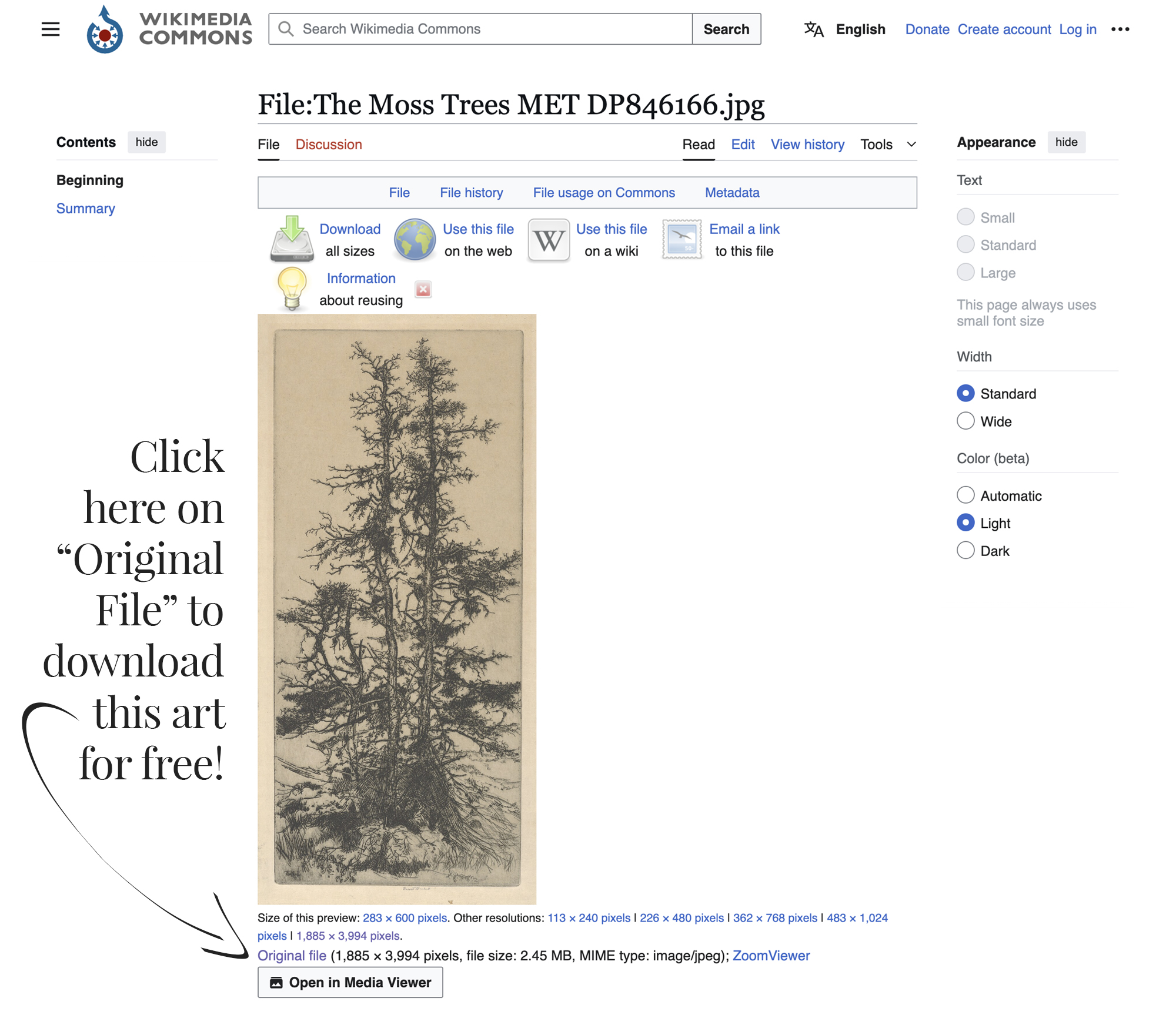 The Moss Trees (aka Tree Tops 3) vintage art print in the public domain