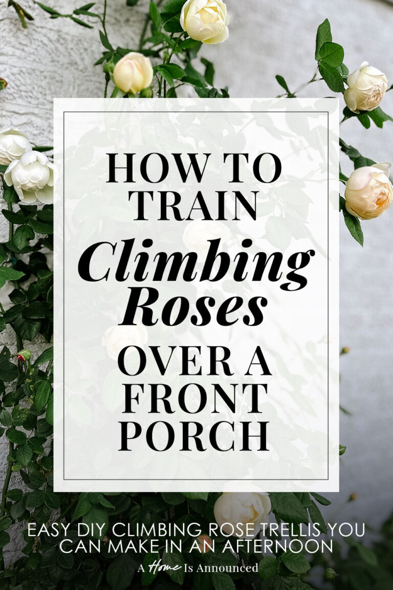 How to Install a Wire Trellis to Train Climbing Roses Over a Front ...