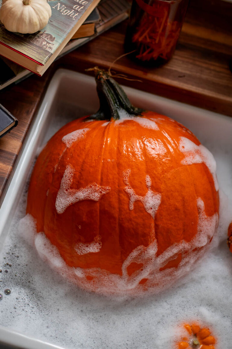 How To Make Your Fall Pumpkins Last Longer Outside - A Home Is Announced