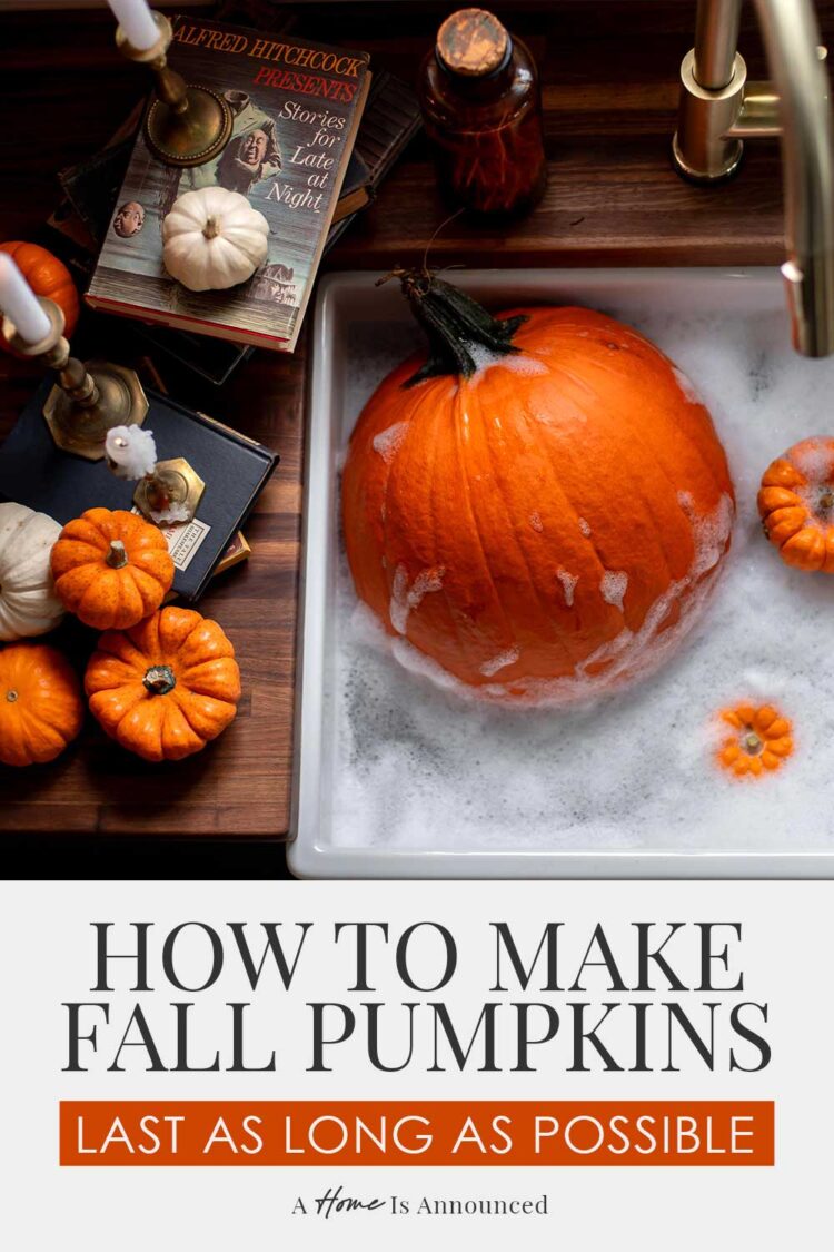 How To Make Your Fall Pumpkins Last Longer Outside - A Home Is Announced