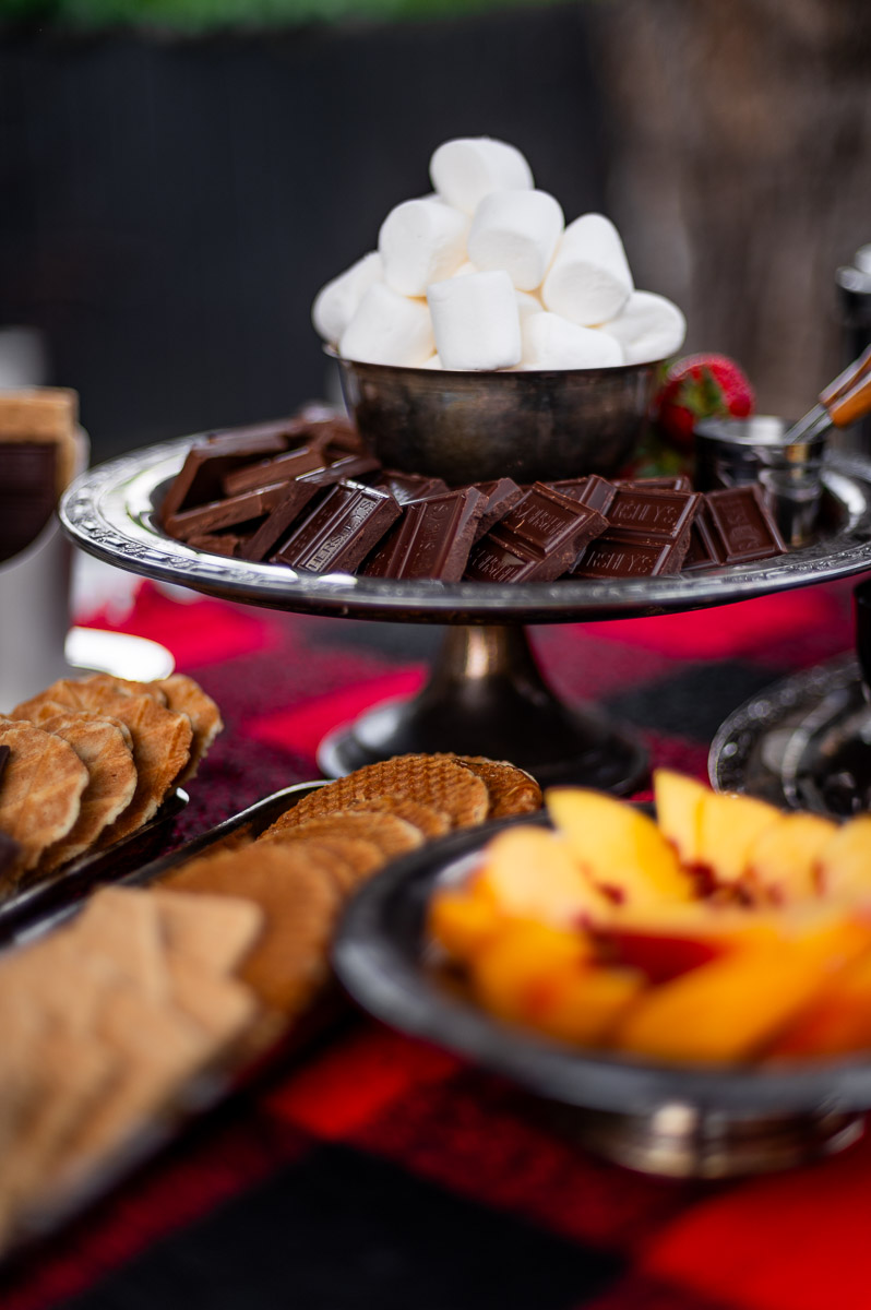 Dessert s’mores charcuterie with strawberries, cookies, and chocolate – styled grazing board ideas for a bonfire party.