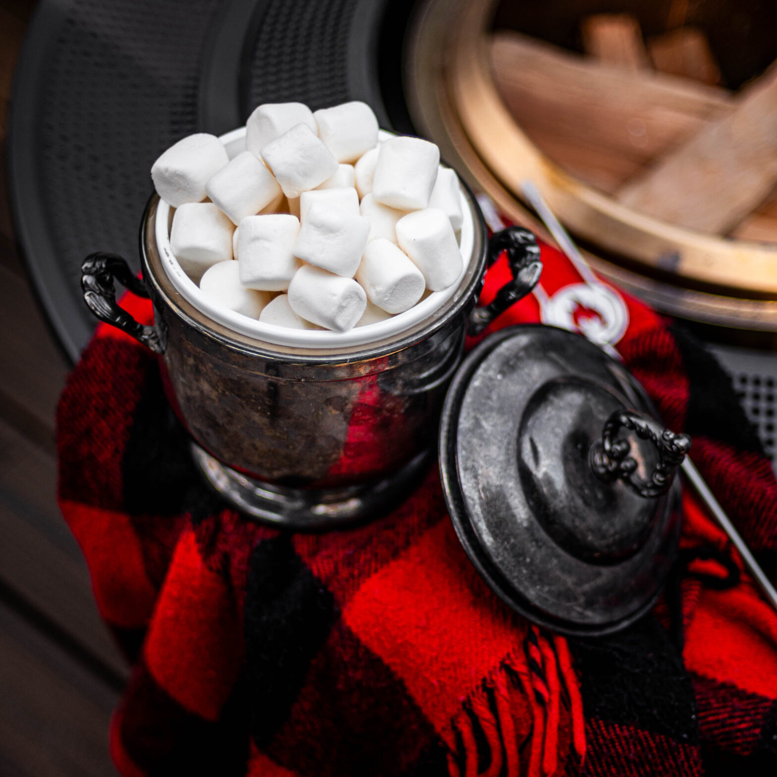 thrifted vintage silver champagne bucket filled with marshmallows sitting on a red camp blanket next to a roasting stick for elegant bonfire party decor
