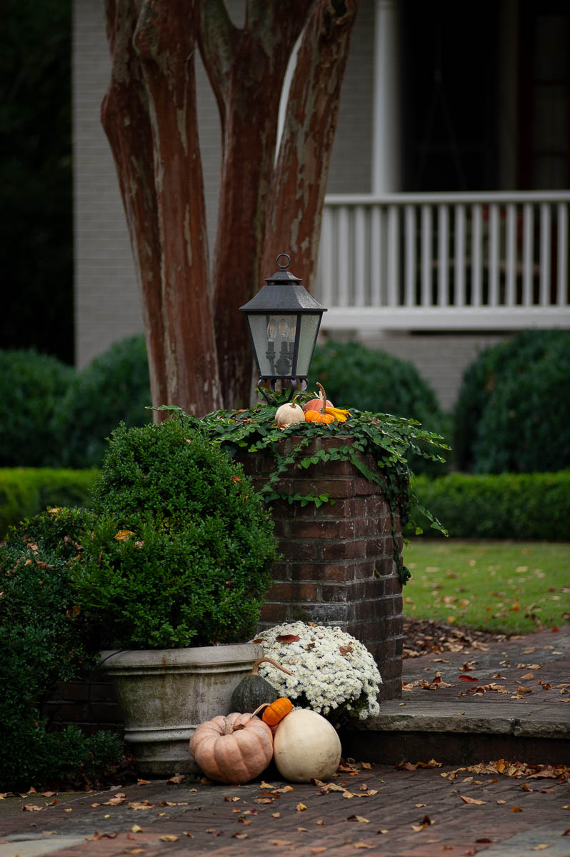 a collections of small pumpkins rest on top a brick column in front of a historic home, in front of the column rest a fall decor display with pumpkins, white mums and an evergreen shrub in a small concrete pot.