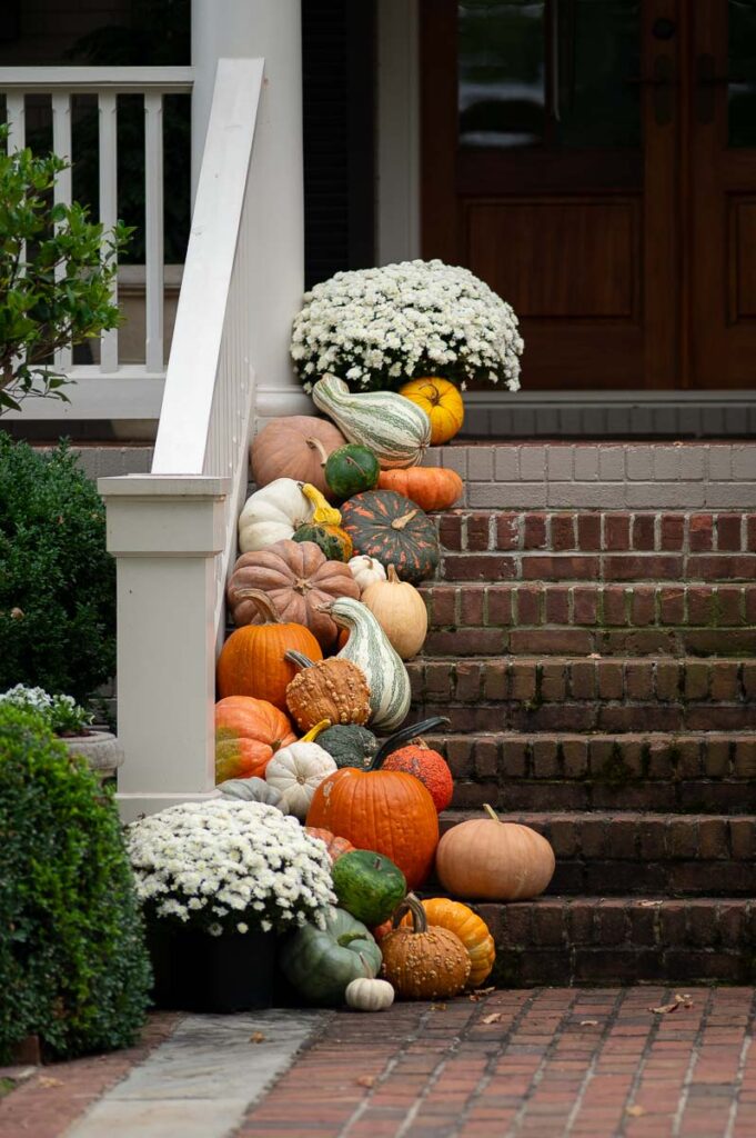 a collection of colorful fall pumpkins on stairs along with mums as part of a fall front porch display on a historic southern home in Huntsville Alabama