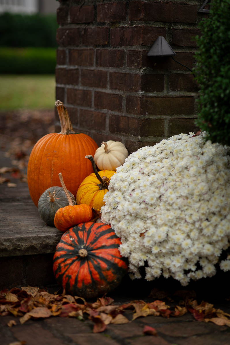 An example of using pumpkin decorating and white mums on the exterior of your home to create simple fall decor for the home outside