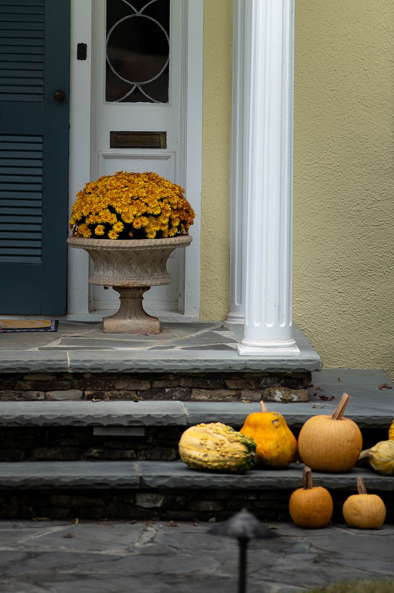 urns for a fall front porch display filled with yellow mums next to a variety of pumpkins in front of a yellow house with a blue door