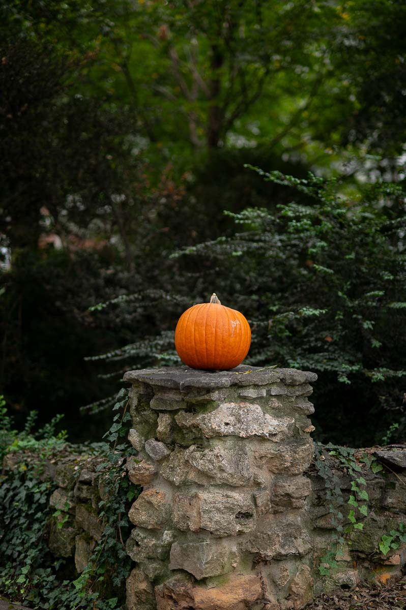 Simple outdoor Fall decor idea showcasing pumpkins placed atop stone pillars as halloween decor in front of a historic southern home in Huntsville Alabama