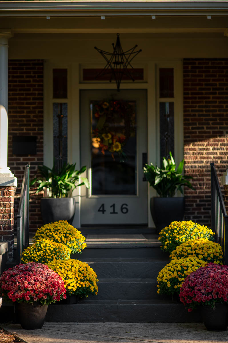 southern fall front porch decor created entirely from yellow and pink fall mums to create a exterior fall home decor display