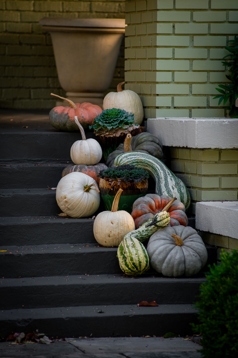 Fall porch decor using cabbages, gourds and pumpkins on the steps of a historic craftsman home.