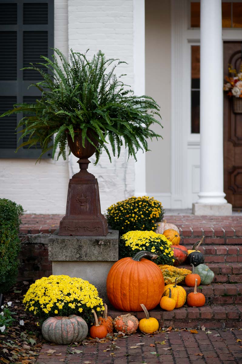 vintage fall urns for front porch filled with a large fern and surrounded by a mums and pumpkins front porch fall displays