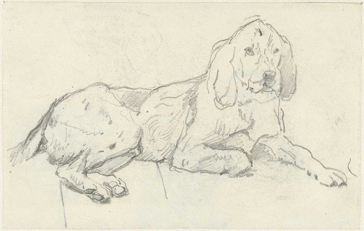 free vintage hunting dog art showing a sketch of a hound dog laying down