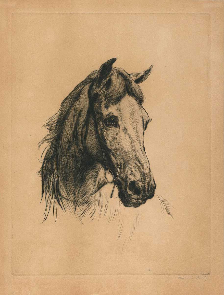 free vintage horse sketch