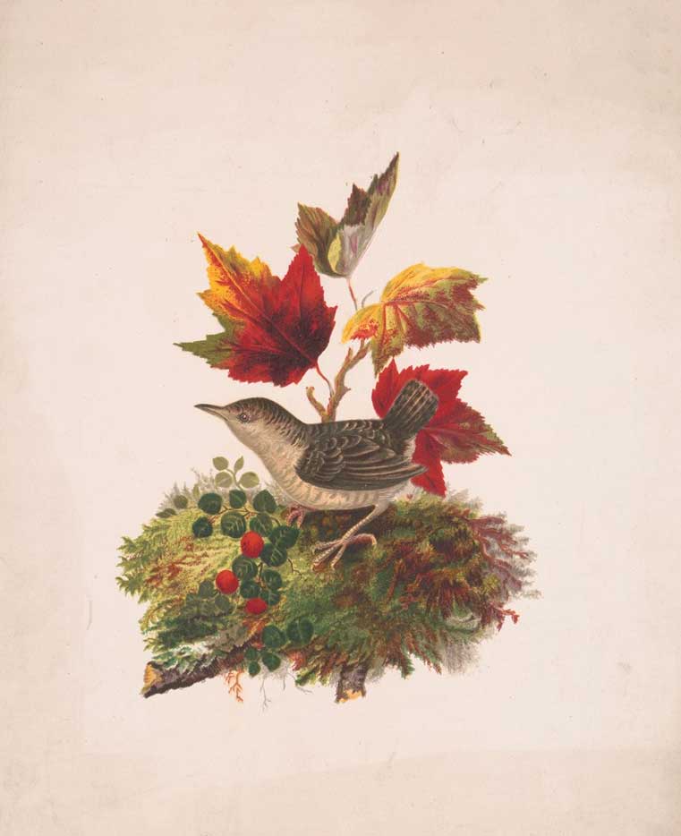 vintage Autumn lithograph by Louis Prang & Co. entitled "Bird With Autumn Foliage" showing a bird with fall leaves