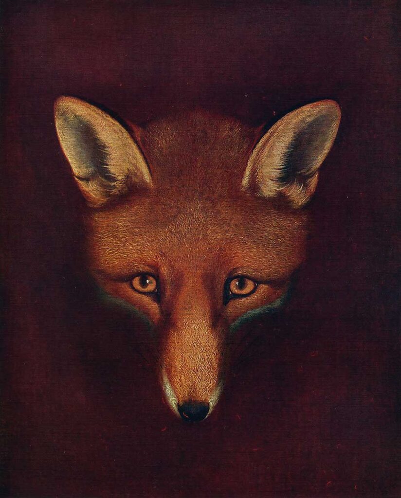 free vintage fox art by Philip Reinagle entitled "Renard the Fox"