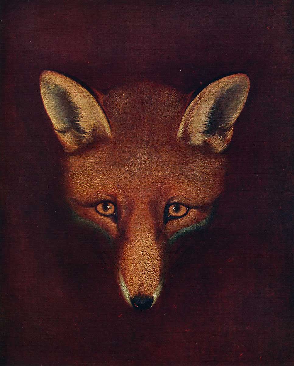 free vintage fox art by Philip Reinagle entitled "Renard the Fox"