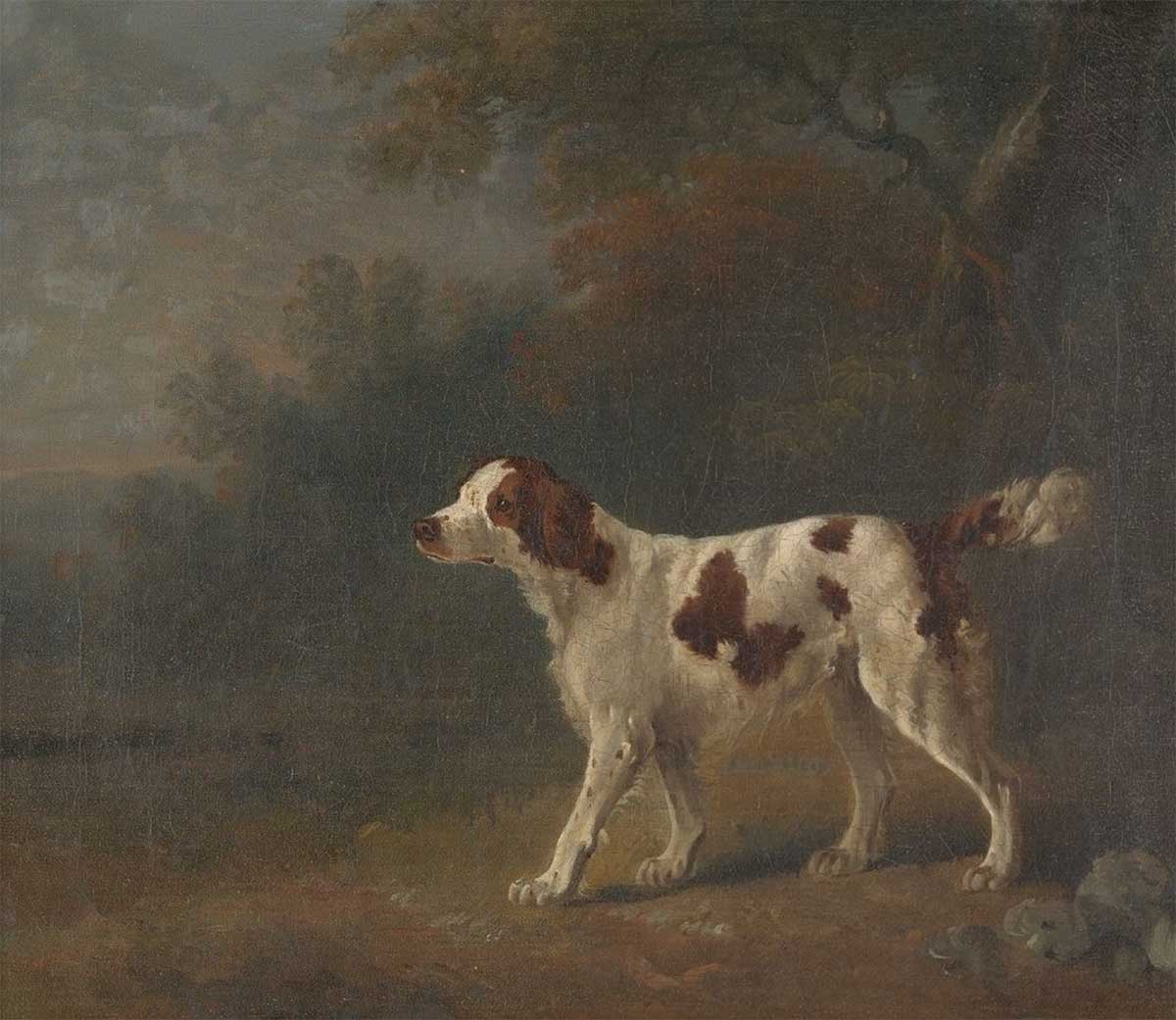 free vintage dog painting showing an english setter in a british landscape painting