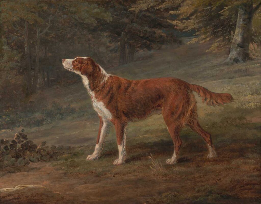 free vintage dog art painting by George Garrard entitled “Ranger, a setter, the property of Elizabeth Gray” for use as free printable wall art