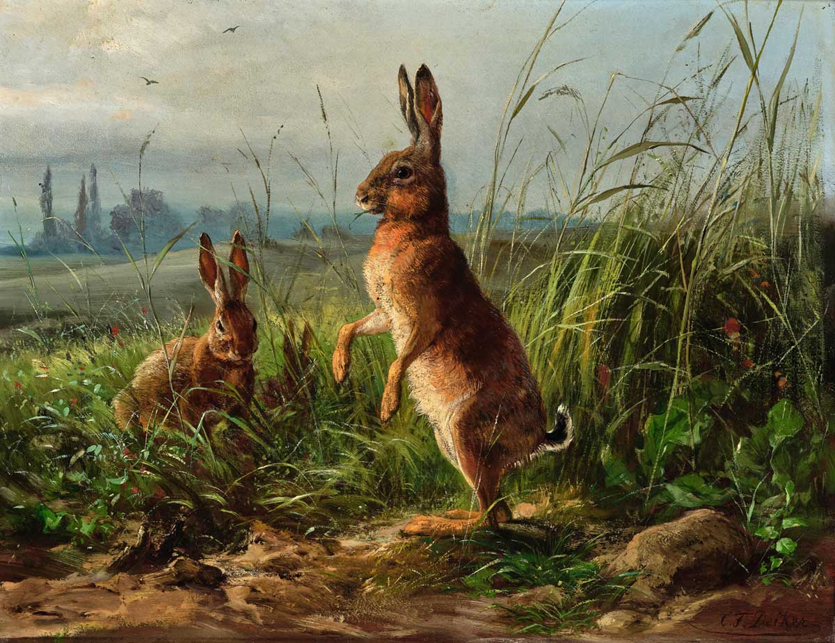 free vintage easter bunny art by Carl Friedrich Deiker entitled "Hares at the edge of a field"