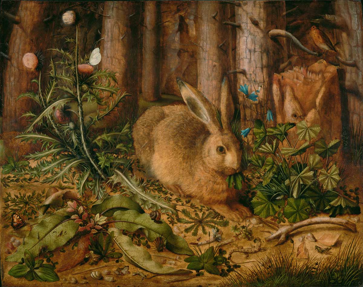 free vintage bunny rabbit painting for spring by Hans Hoffmann entitled "A Hare in the Forest"