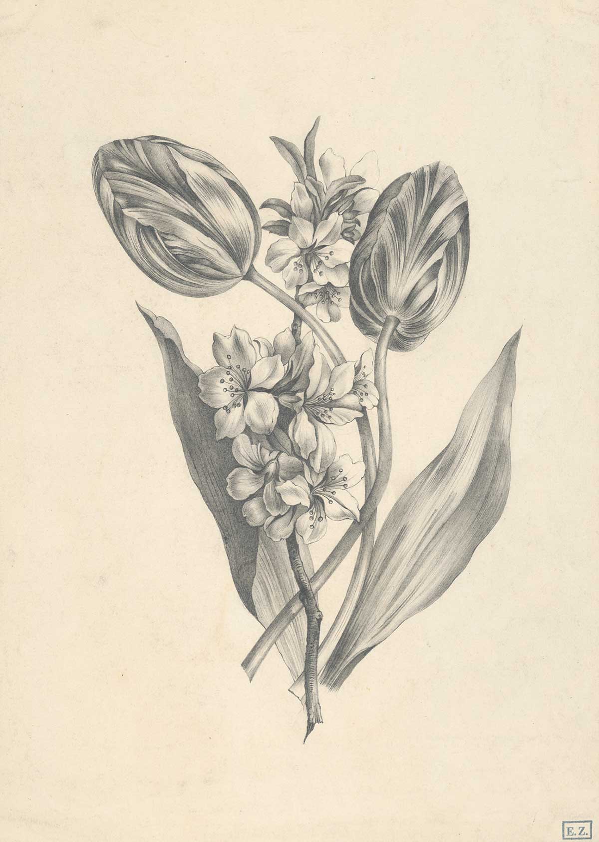 free vintage spring drawing of flowers by Ignac Klimkovic entitled "Flowers" for use as spring home decor