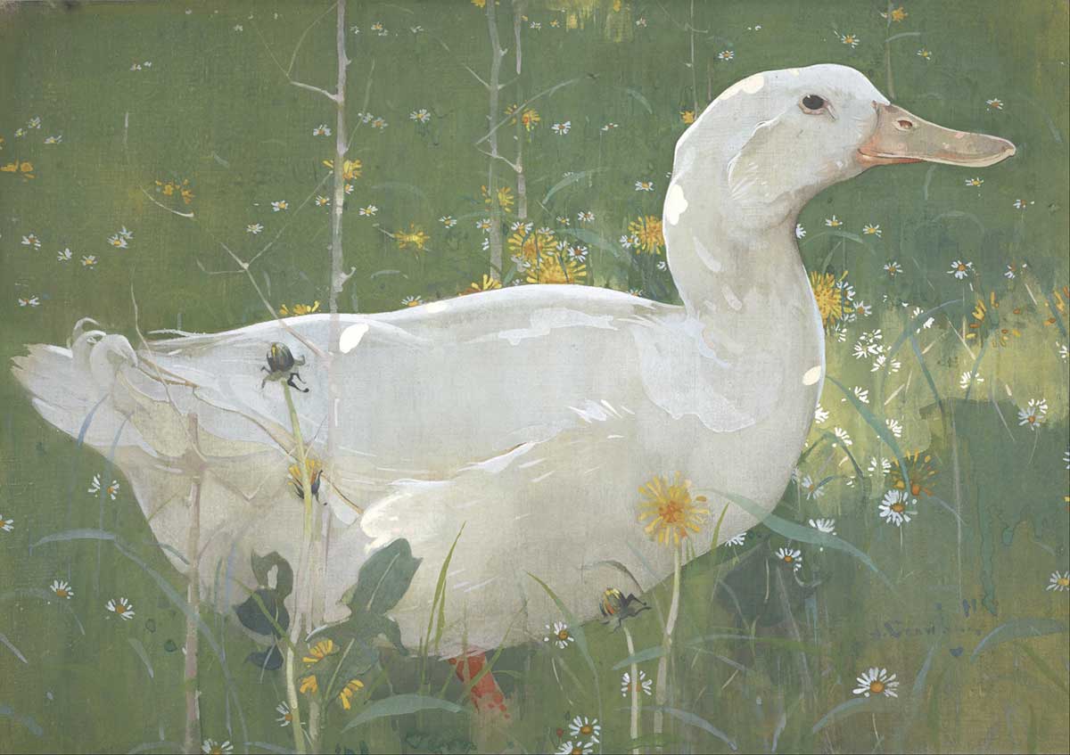 free vintage spring animal painting of a white duck by Joseph Crawhall entitled "The White Drake"