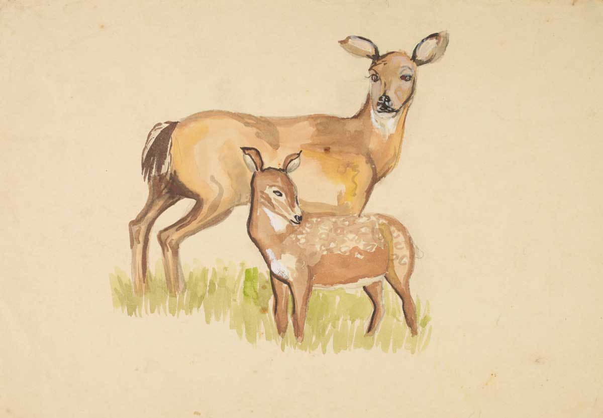 free vintage watercolor painting of deer by Wellington, by Nancy Adams CBE entitled "Doe and Fawn" for use as free spring home decor