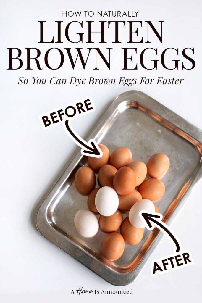 brown eggs rest on a silver plate showing how to lighten brown eggs in order to dye brown eggs for easter