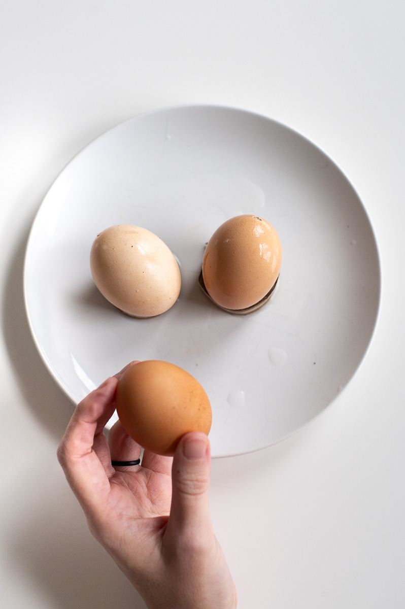 Brown eggs after 7 minute vinegar soak showing lighter shell color in comparison with a normal brown egg.