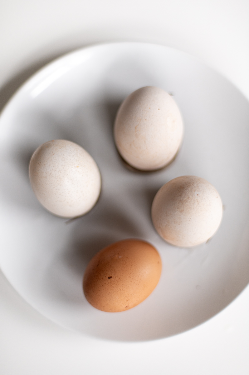 Comparison of brown egg and egg lightened using boiling vinegar method