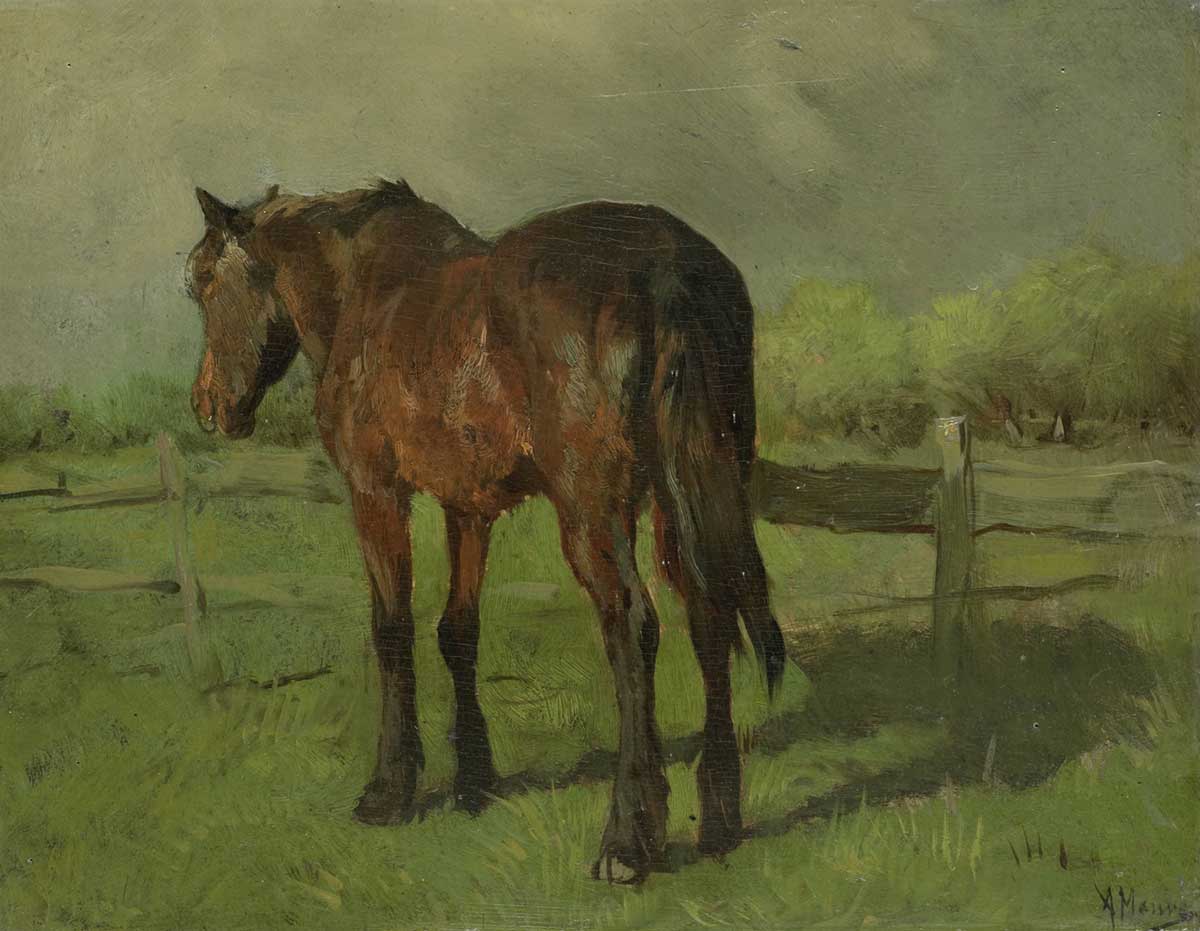 vintage horse painting by Anton Mauve or a horse in a pasture next to a wood fence for use as free printable wall art