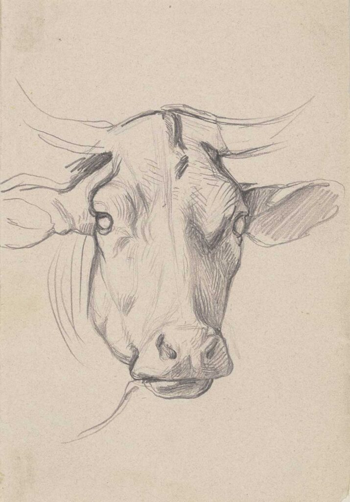 Free vintage sketch of a cow by Jakob Becker entitled 'Head of a Cow' perfect for use as free printable farmhouse wall art decor