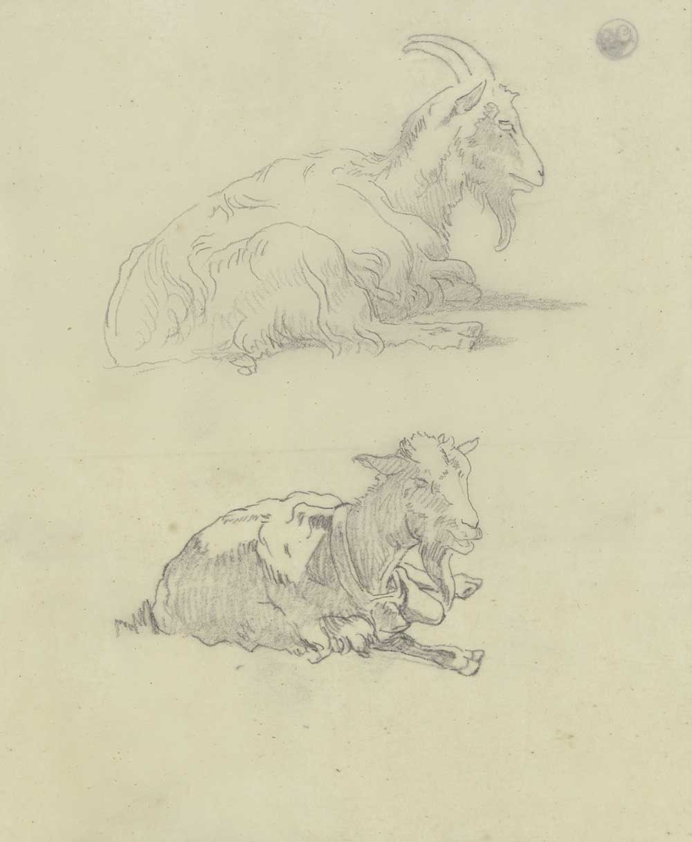 vintage sketch drawing of two goats by Jakob Becker entitled "Two Goats" for use as free printable farmhouse or cottage wall art