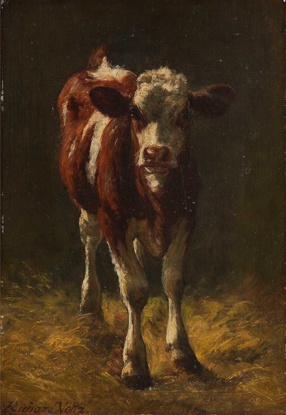 vintage painting of a baby cow in a barn by Richard Voltz entitled "Kälbchen im Stall" for use as free printable farmhouse wall art
