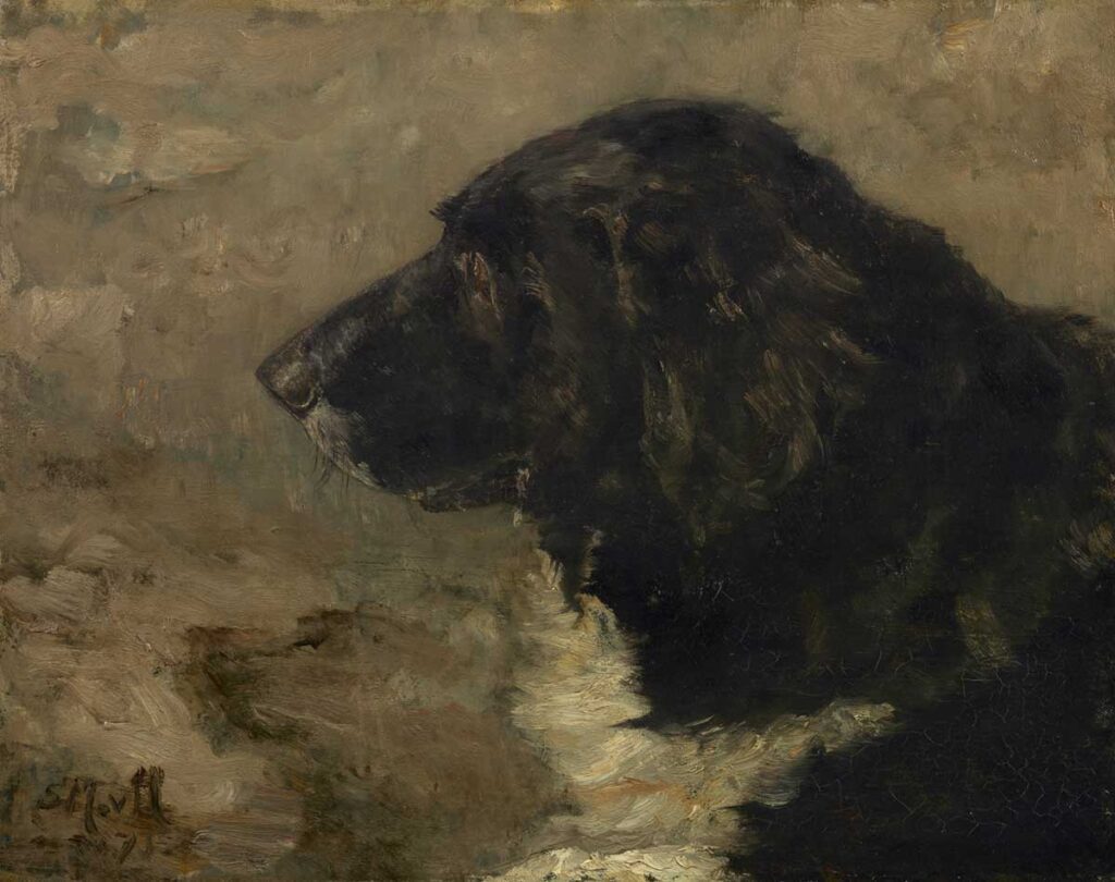vintage dog painting by Sina Mesdag-van Houten entitled "Head of a dog: Nero" for use as free printable wall art